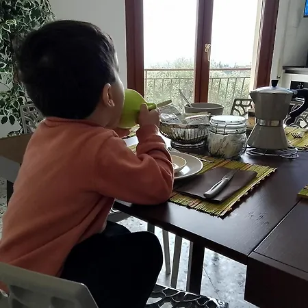 Casa Olivella 巴多利诺
